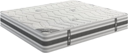 Queen , 12 inch , Firm , Hybrid Mattress with Pocket Coil core from Dulce Deluxe by Ottomanson in white background.